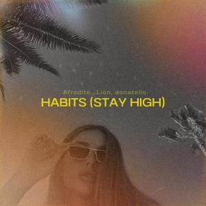 Habits (Stay High) (Afro House)