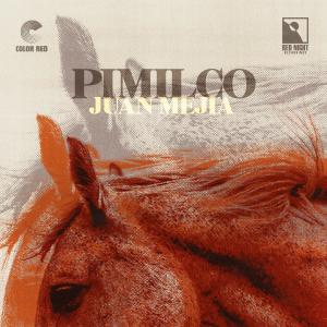 Juan Mejia的專輯Pimilco