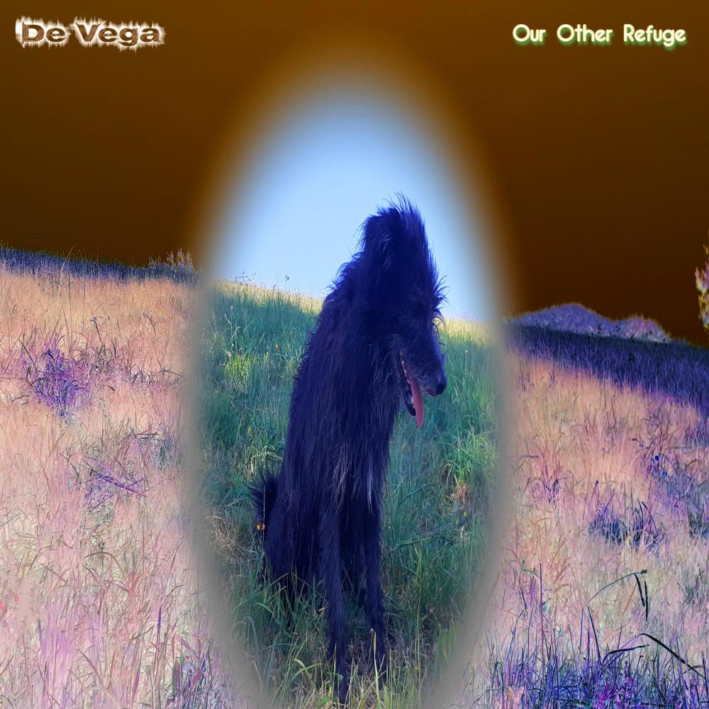 Our Other Refuge XII