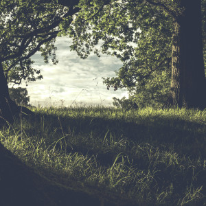 Dengarkan lagu Harmony and Peace nyanyian Entspannungsmusik dengan lirik