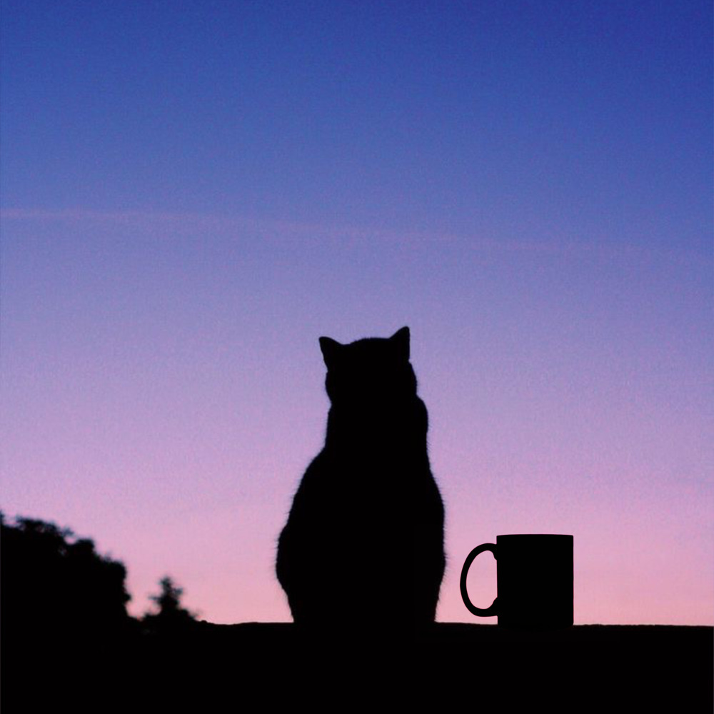 Midnight Coffee