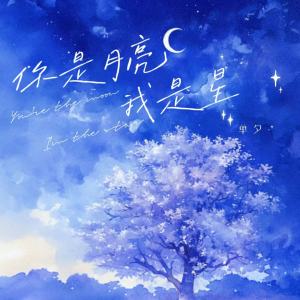 Album 你是月亮我是星 from 单夕