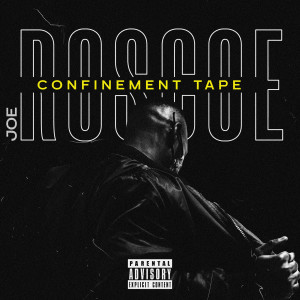 收听Joe Roscoe的Vie de star歌词歌曲