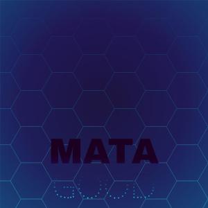 Listen to Quad Bat song with lyrics from Palmar Regy