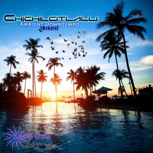 Album Ambient Downtempo (Birds) oleh Chichilcitlalli