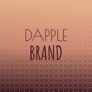 ดาวน์โหลดและฟังเพลง Dapple Brand พร้อมเนื้อเพลงจาก Stel Shet
