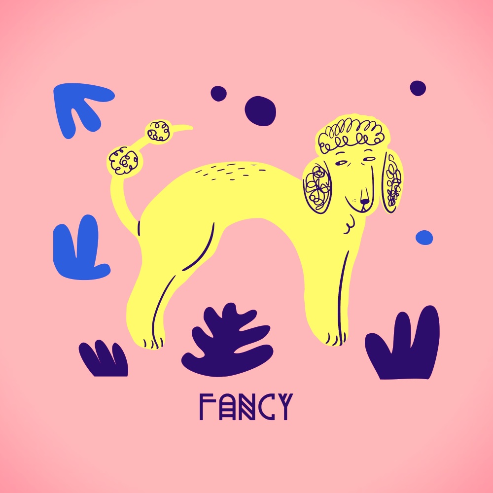 Fancy