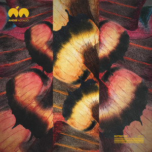 ดาวน์โหลดและฟังเพลง Butterflies พร้อมเนื้อเพลงจาก André Aguado
