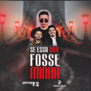 Listen to Se Essa Rua Fosse Minha song with lyrics from Vittorio Fin