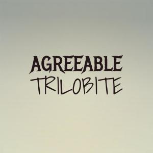 ดาวน์โหลดและฟังเพลง Cerrillo Carmen พร้อมเนื้อเพลงจาก Florend Cand