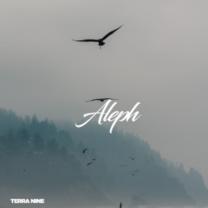 收聽Terra Nine的Aleph歌詞歌曲