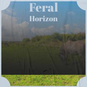 Dengarkan Feral Horizon lagu dari Domy Vander dengan lirik