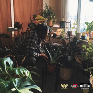 ดาวน์โหลดและฟังเพลง Sunroom Poetry (Explicit) พร้อมเนื้อเพลงจาก Kashi Jayy