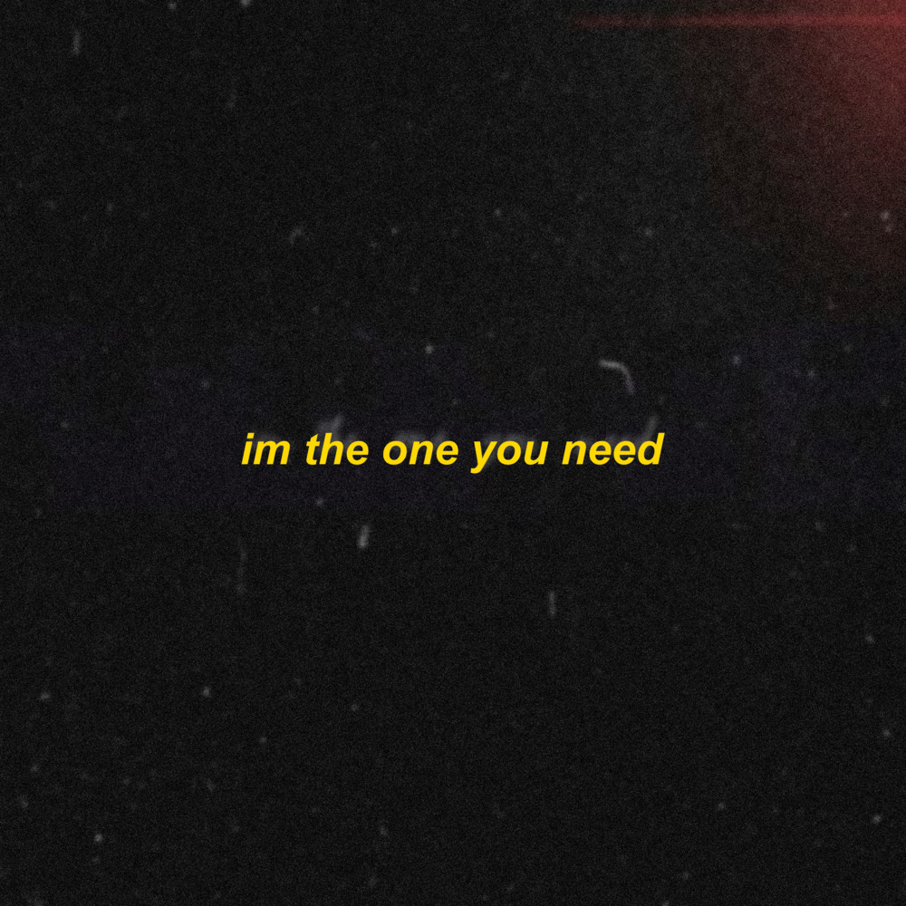 I'm The One You Need