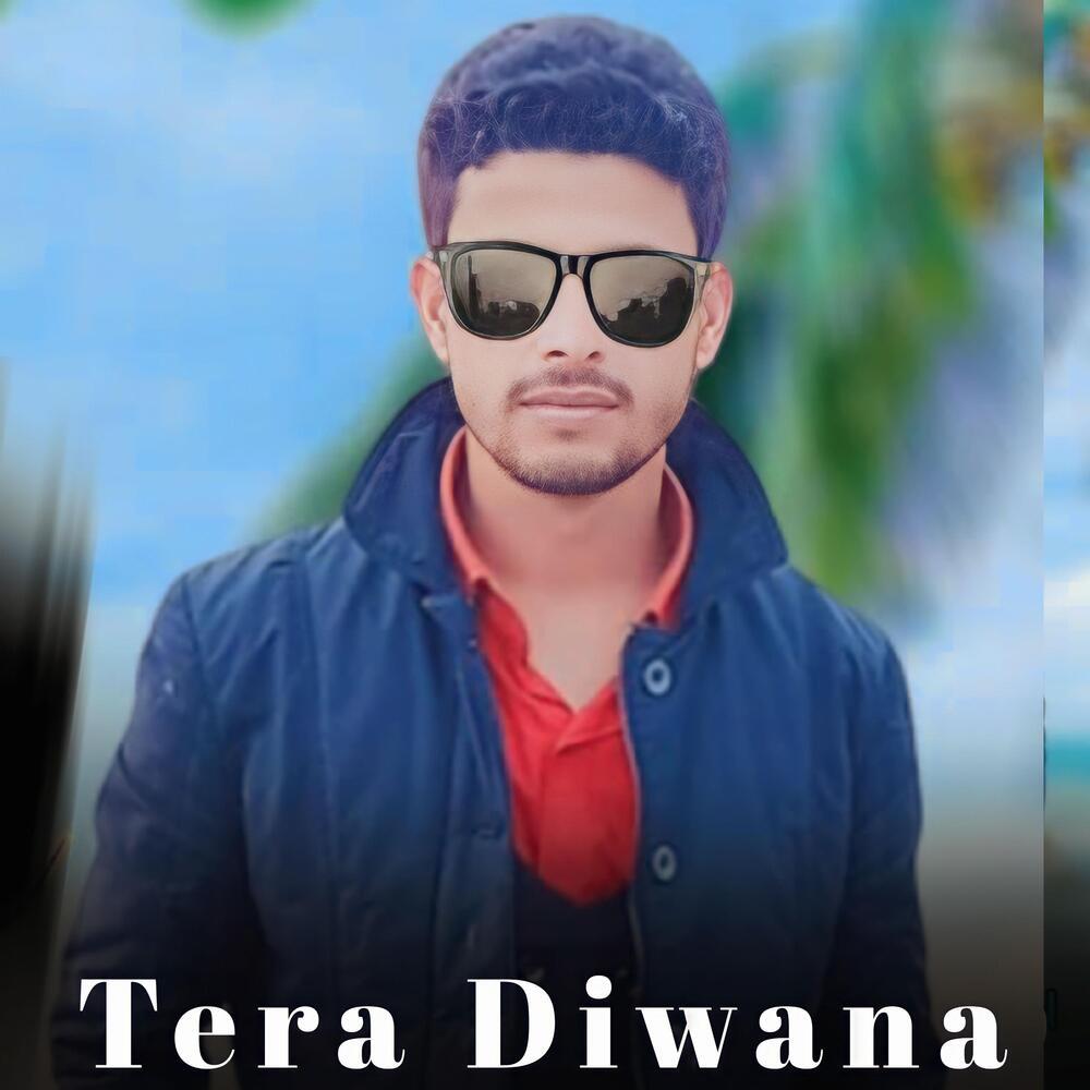 Tera Diwana