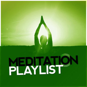 收聽Meditation的Prana Energy歌詞歌曲