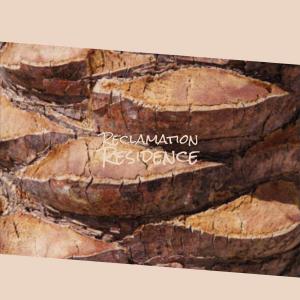 Listen to Reclamation Residence song with lyrics from Stane Stras