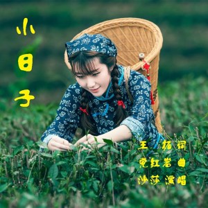 Listen to 小日子 song with lyrics from 沙莎