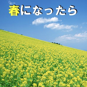 ดาวน์โหลดและฟังเพลง Sobakasu (Music Box) พร้อมเนื้อเพลงจาก Orgel Sound J-Pop