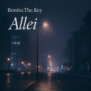 Listen to Allei (Explicit) song with lyrics from Bonito.the.key