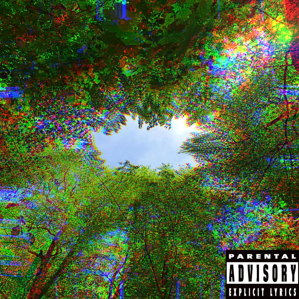 Trust (feat. lilbluntsmoker) (Explicit)