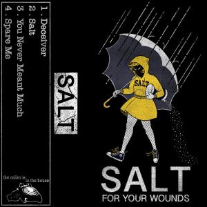 Listen to You Never Meant Much song with lyrics from SALT