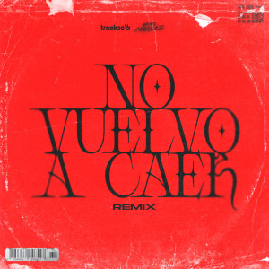 Album No Vuelvo A Caer (Remix) from Treekoo