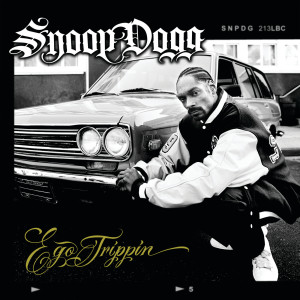 ดาวน์โหลดและฟังเพลง Waste Of Time (Album Version|Explicit) พร้อมเนื้อเพลงจาก Snoop Dogg