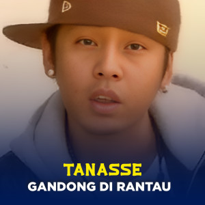 Listen to GANDONG DI RANTAU song with lyrics from Tanasse
