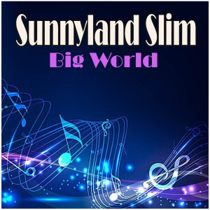 Big World dari Sunnyland Slim