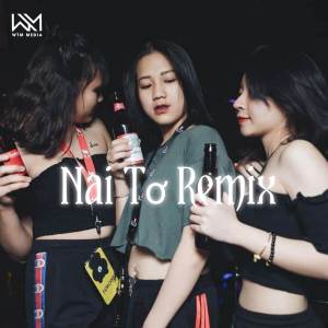 Rieu的專輯Nai Tơ (Instrumental Remix)