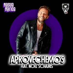 Nasua Narica的專輯Aprovechemos (feat. Noel Schajris)