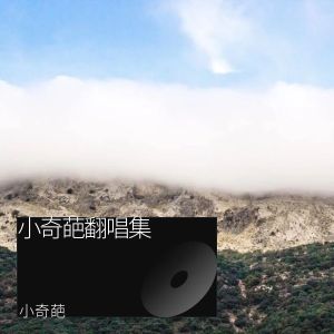 Album 偏爱人间烟火 from 乐攸LIU