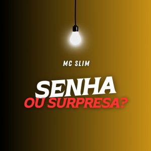 MC Slim的專輯Senha ou Surpresa?