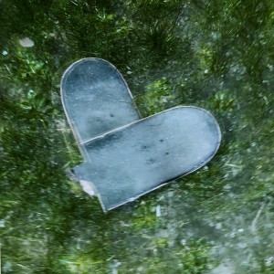 Album Skategirl (Explicit) oleh Leonardo Frontini