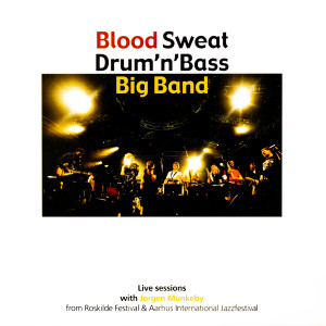 Listen to Lykkestrejf song with lyrics from Blood Sweat Drum + Bass