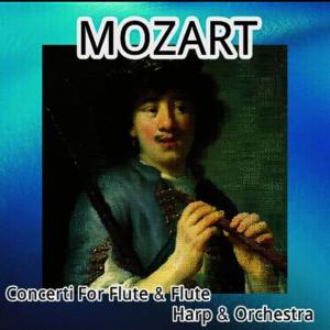 收聽Akiko Miyazoshi的Flute Concerto No. 2 in D Major, K. 314: III. Rondo - Allegretto歌詞歌曲