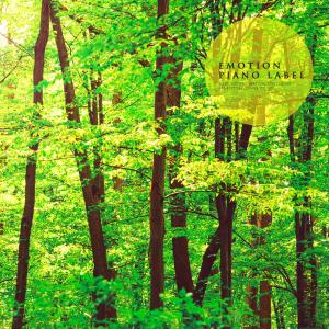 อัลบัม Natural Sounds And Beautiful Piano Melodies That Wash Your Mind (Nature Ver.) ศิลปิน Various Artists