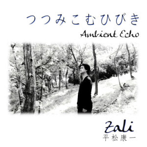 ดาวน์โหลดและฟังเพลง The Day When I Meet You Again พร้อมเนื้อเพลงจาก Zali