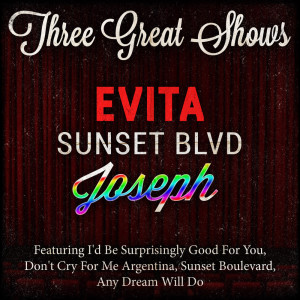 ดาวน์โหลดและฟังเพลง I'd Be Surprisingly Good For You (From "Evita") พร้อมเนื้อเพลงจาก Carl Wayne