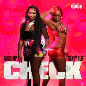 ดาวน์โหลดและฟังเพลง Check (Explicit) พร้อมเนื้อเพลงจาก Gloss Up