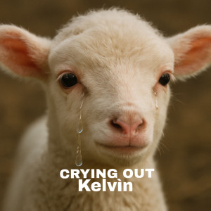 Album Crying Out from Kelvin