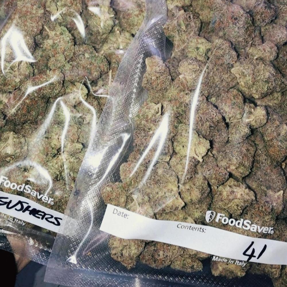 Gelato 41 (Explicit)