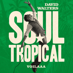 David Walters的專輯Soul Tropical (Voilaaa Remix)