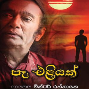 ดาวน์โหลดและฟังเพลง Pae Eliyak พร้อมเนื้อเพลงจาก Victor Rathnayake
