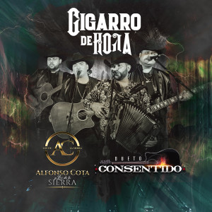 Dengarkan Cigarro De Hoja (En Vivo) lagu dari Dueto Consentido dengan lirik