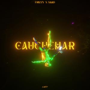 ดาวน์โหลดและฟังเพลง Cauchemar (feat. Saad) พร้อมเนื้อเพลงจาก FRIZZY