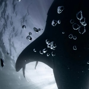 收聽Exotic DH的Cancún a Mazatlán歌詞歌曲