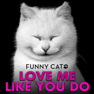收聽Funny Cats的Love Me Like You Do (From "50 Shades of Grey") [Funny Cats Singing Version]歌詞歌曲