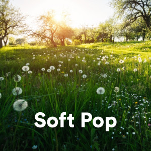 Various的專輯Soft Pop (Explicit)